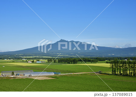清里町神威の農村風景 清里町神威の農村風景 137089015