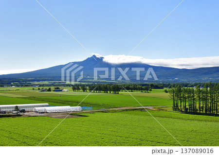 清里町神威の農村風景 清里町神威の農村風景 137089016