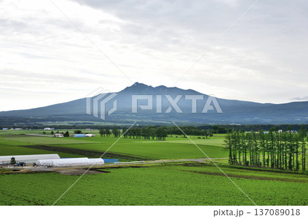 清里町神威の農村風景 清里町神威の農村風景 137089018