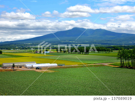 清里町神威の農村風景 137089019