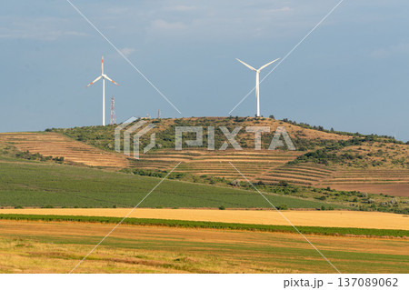 Wind turbines stand on a hill in a rural area with fields and crops under a clear sky in the daytime 137089062