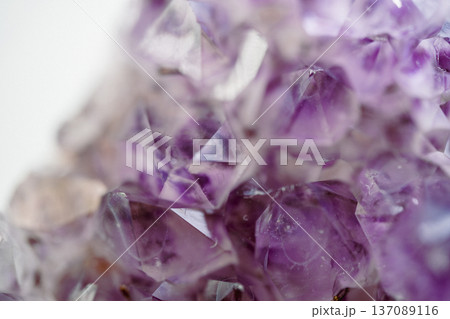 Amethyst crystals are displayed in a close-up view highlighting their distinct shapes and shades of purple. The natural light reflects off the facets, showcasing their beauty. Amethyst crystals are displayed in a close-up view highlighting their distinct shapes and shades of purple. The natural light reflects off the facets, showcasing their beauty. 137089116