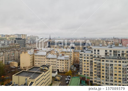 Dull gray cityscape featuring layered roofs and distant horizons 137089379