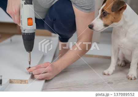 A Caucasian woman uses a screwdriver to tighten a screw while assembling a cabinet. 137089552