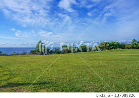 潮岬で見た青空と広大な芝生広場の風景 海の見える丘の自然背景 137089826