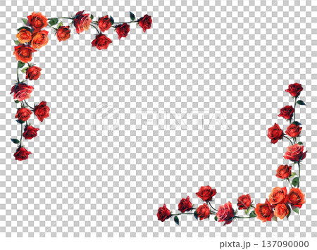 赤いバラの花のイラスト 137090000