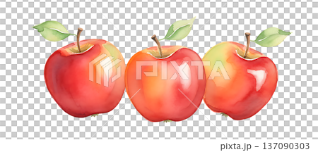 Watercolor painting of fresh apples 137090303