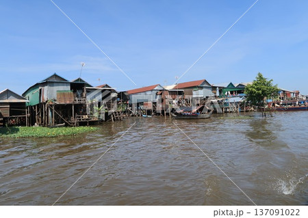 カンボジア トンレサップ湖 137091022