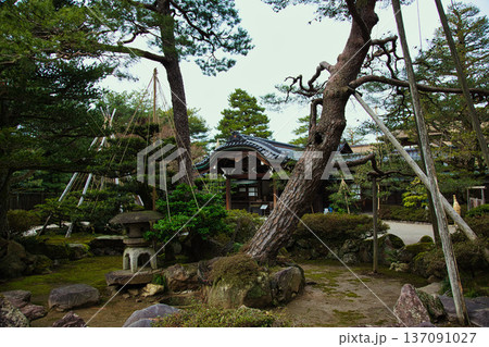 名園に春の訪れ 137091027