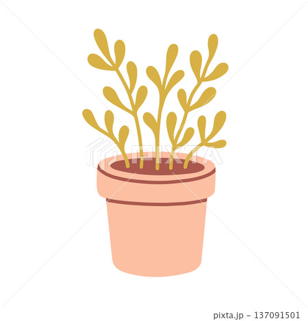 Cute flat vector potted herb with thin stems and leaves. Ideal for kitchen decor, botanical branding, organic food packaging, gardening apps and lifestyle illustrations Cute flat vector potted herb with thin stems and leaves. Ideal for kitchen decor, botanical branding, organic food packaging, gardening apps and lifestyle illustrations 137091501