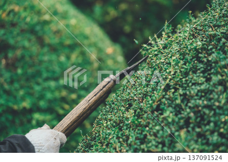 Japanese Gardener Japanese Gardener 137091524