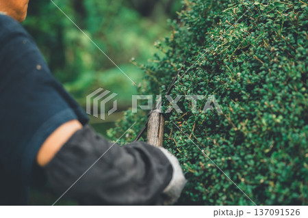 Japanese Gardener Japanese Gardener 137091526