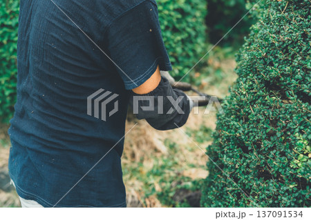 Japanese Gardener Japanese Gardener 137091534