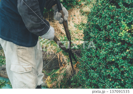 Japanese Gardener 137091535