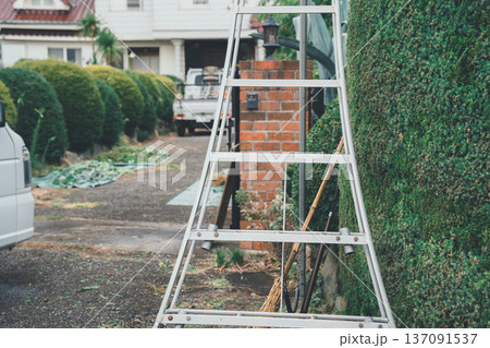 Japanese Gardener Japanese Gardener 137091537