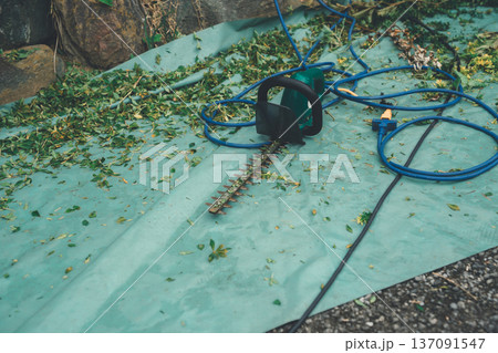 Japanese Gardener 137091547