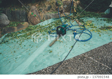 Japanese Gardener 137091548