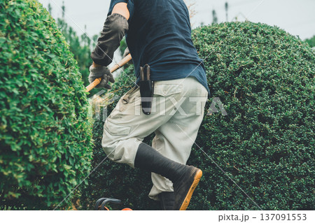Japanese Gardener 137091553