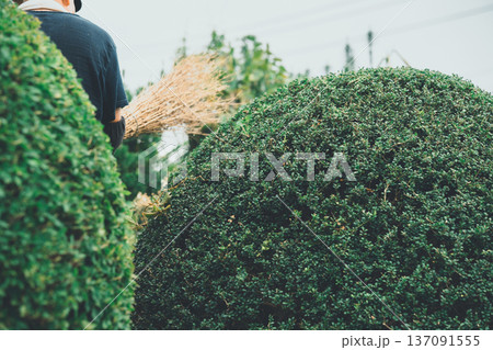Japanese Gardener Japanese Gardener 137091555