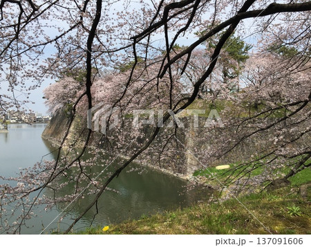 桜のある風景 桜のある風景 137091606