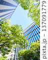 ビルと青空と新緑 137091779