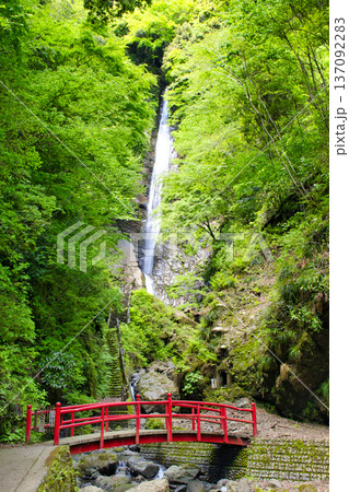 【神奈川県】洒水の滝 137092283