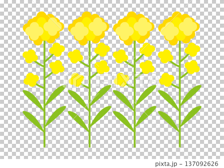 強姦開花例證 137092626