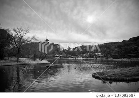 三溪園　曇天の大池に浮かぶ小舟と水鳥　横浜の重要文化財を望む 137092687