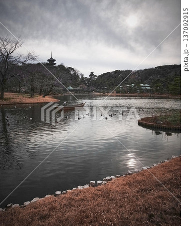 三溪園・大池の冬 曇天に映える三重塔と静かな水面 横浜 三溪園・大池の冬 曇天に映える三重塔と静かな水面 横浜 137092915