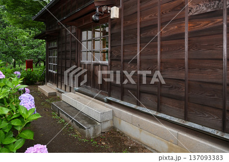古い建物と紫陽花 古い建物と紫陽花 137093383