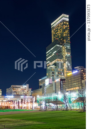 天王寺公園から見るあべのハルカスの夜景 137093873