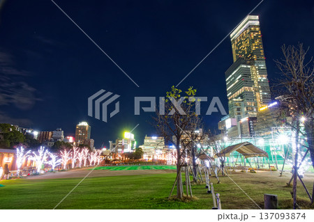 天王寺公園から見るあべのハルカスの夜景 天王寺公園から見るあべのハルカスの夜景 137093874