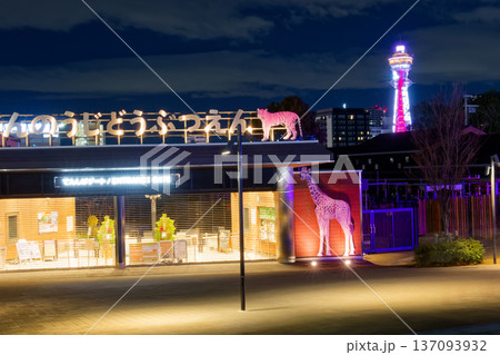 冬の天王寺公園のイルミネーションと通天閣の夜景 137093932