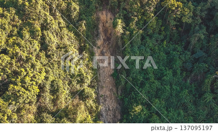Sunlit Landslide Scar Cuts Through Dense Mountain Forest Feb 14 2026 Sunlit Landslide Scar Cuts Through Dense Mountain Forest Feb 14 2026 137095197