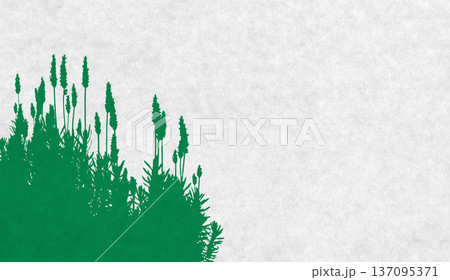 ラベンダーのシルエット、花咲く季節のガーデンアート 137095371