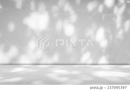 Background Floor Shadow Wall Kitchen Concrete White Texture Light Texture Abstract Mockup Product Marble Room Studio Display Plant Cement Minimal Shelft Bar Silhouette Leaves Backdrop Vintage. Background Floor Shadow Wall Kitchen Concrete White Texture Light Texture Abstract Mockup Product Marble Room Studio Display Plant Cement Minimal Shelft Bar Silhouette Leaves Backdrop Vintage. 137095397