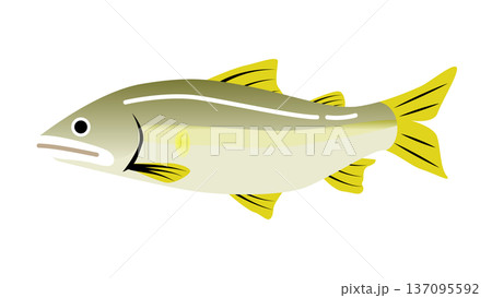 シンプルでかわいい鮎（アユ）のイラスト　食べ物・魚のベクター素材 137095592