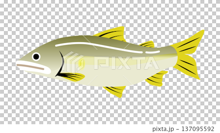 シンプルでかわいい鮎（アユ）のイラスト　食べ物・魚のベクター素材 137095592