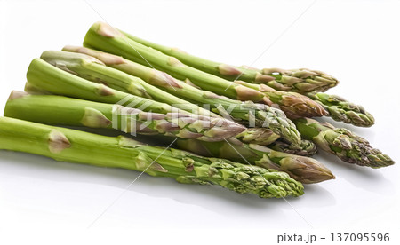 白背景に並べた複数のアスパラガス｜新鮮なグリーンアスパラの野菜素材 137095596