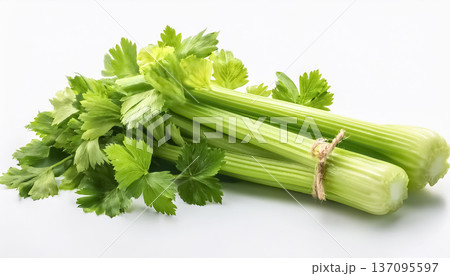 白背景に並べた複数のセロリ｜新鮮なグリーン野菜のクローズアップ素材 137095597