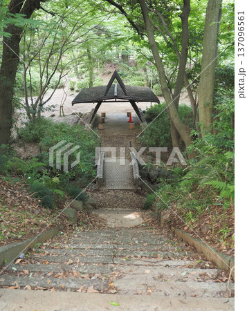 里見公園　千葉県 137096561
