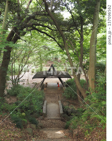 里見公園　千葉県 137096562