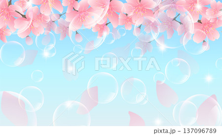 桜　春　風景　背景　 137096789