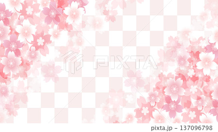 桜 春 風景 背景 桜 春 風景 背景 137096798