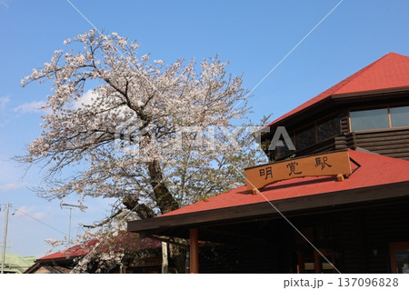 春の桜のある駅の風景 137096828