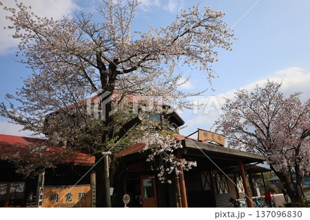 桜のある風景 137096830