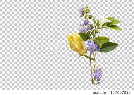 yellow flowers ylang ylang and purple little flowers local flora of asia 137097055