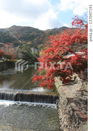 川沿いに鮮やかに色付いた紅葉と山の風景 川沿いに鮮やかに色付いた紅葉と山の風景 137097191