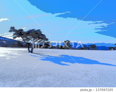 雪原に立つ赤松の光と影（afr20260220082443） 137097285
