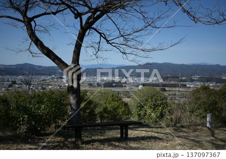 展望公園の風景 137097367